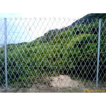 Razor Wire Mesh Zaun